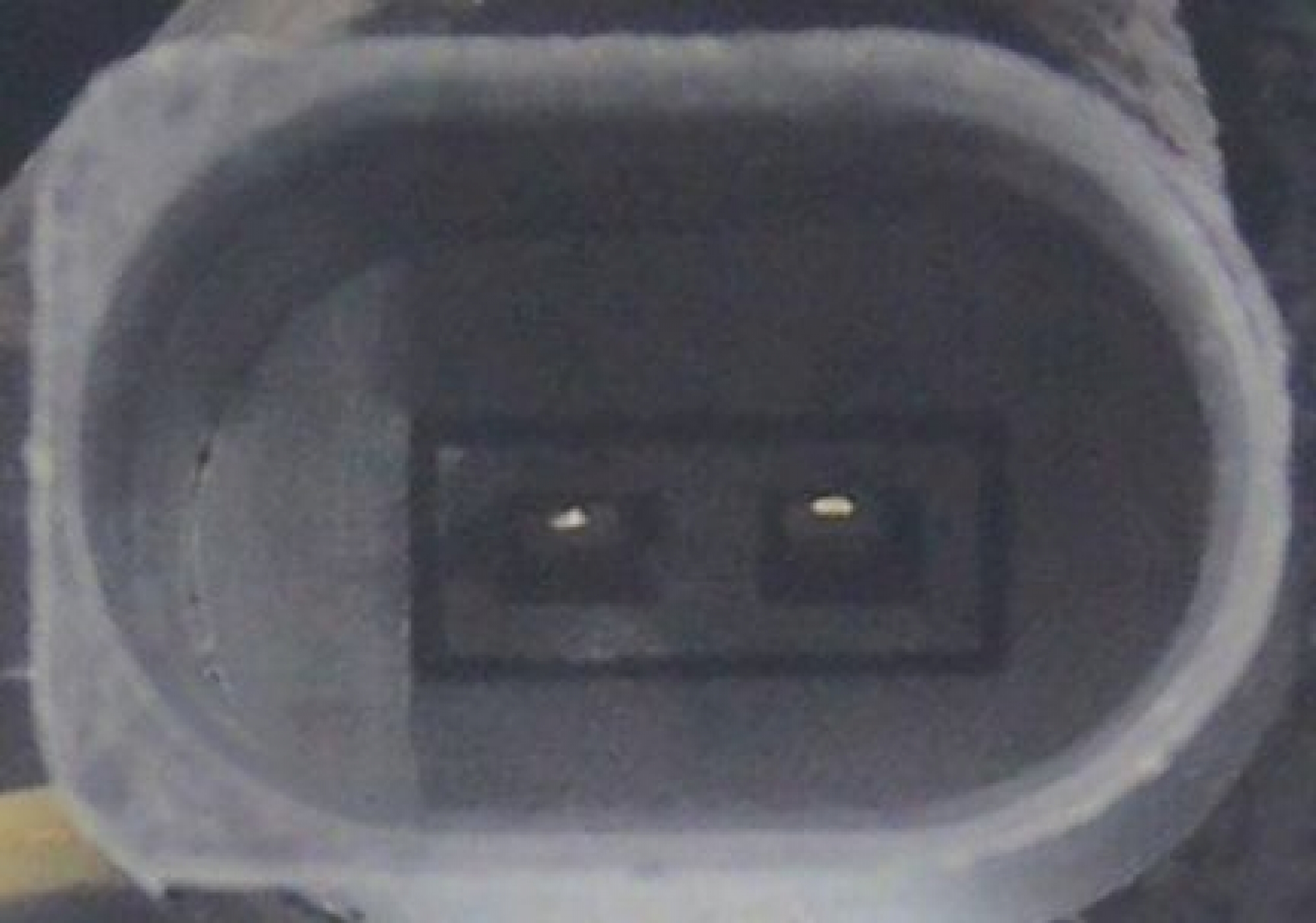 VORMONTIERTER Reparatursatz, Achsschenkel, Vorderachse links, für SEAT Mii, VW UP