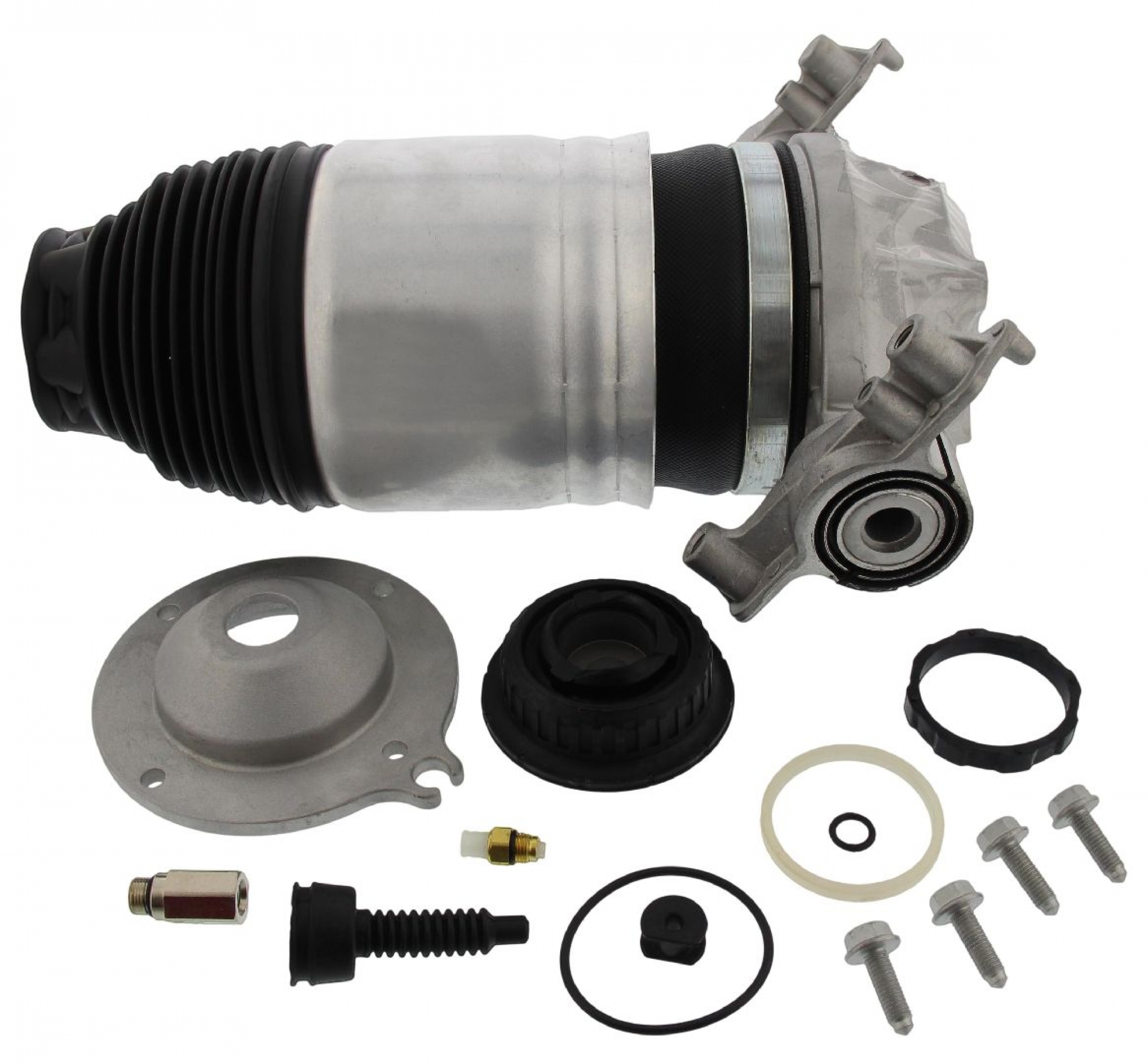 Luftfeder, Fahrwerk, Hinterachse links, PORSCHE, VW