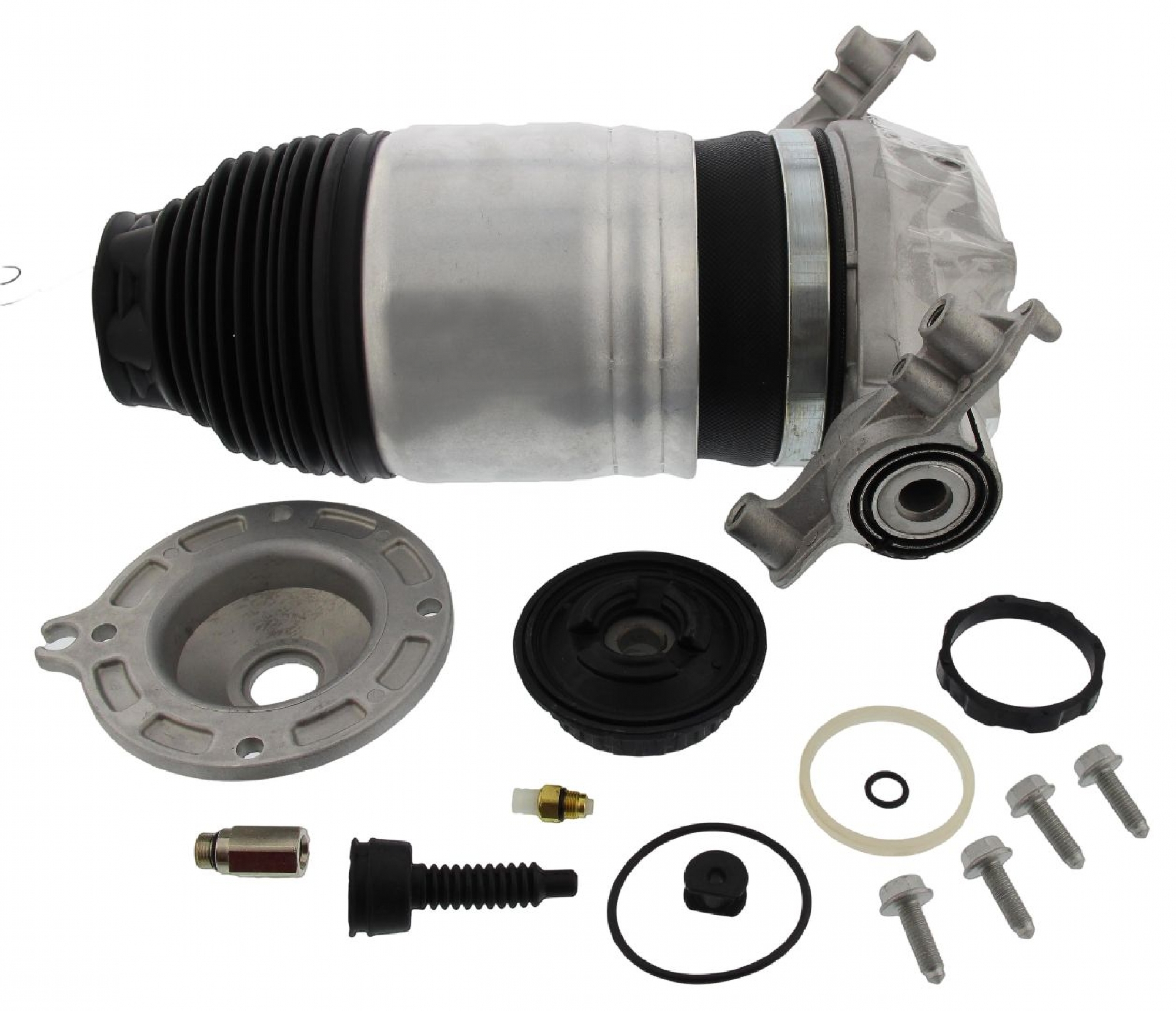 Luftfeder, Fahrwerk, Hinterachse links, PORSCHE, VW