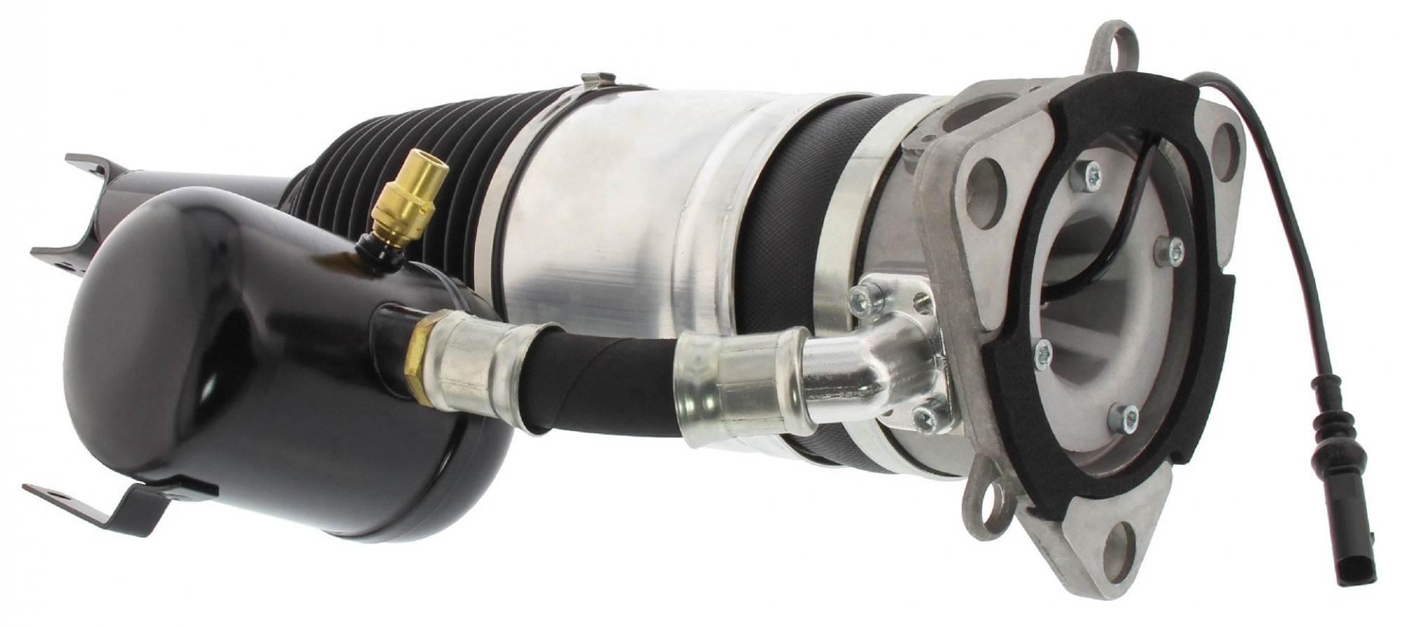 Luftfederbein, Hinterachse rechts, AUDI, VW