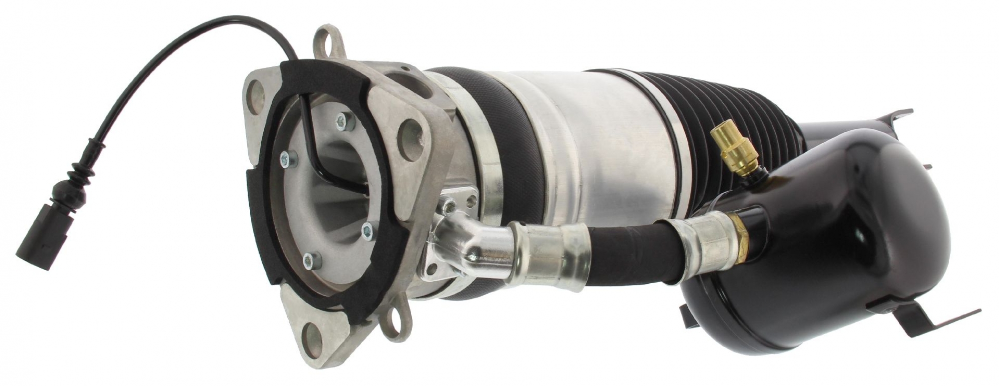 Luftfederbein, Hinterachse links, AUDI, VW