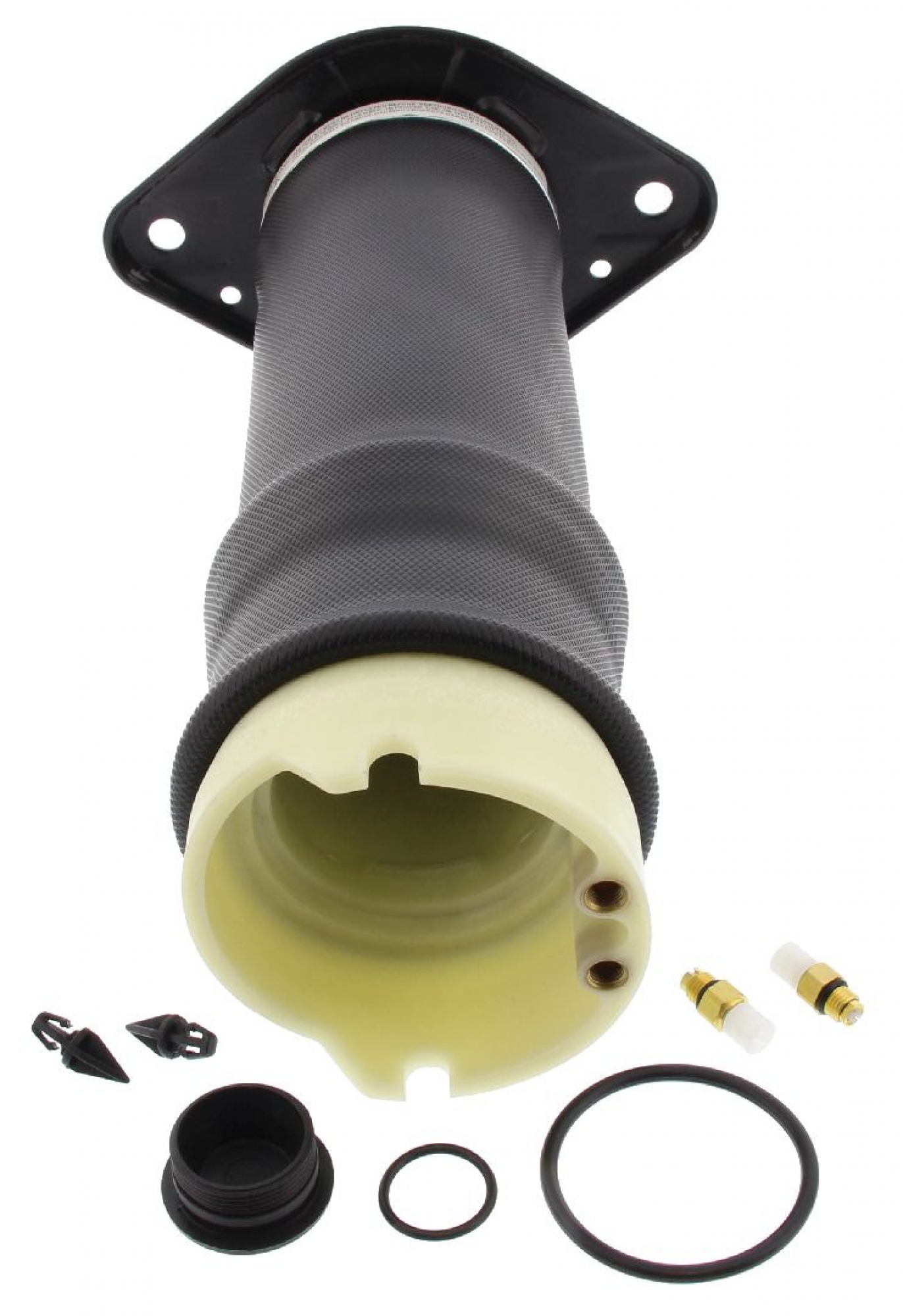 Luftfeder, Fahrwerk, Hinterachse links, AUDI