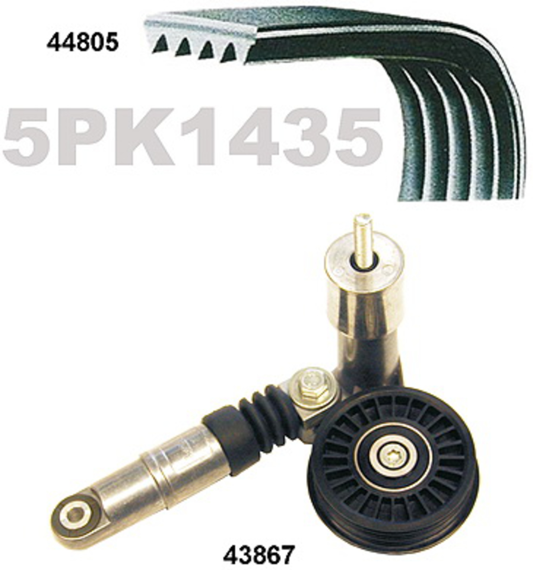 Keilrippenriemensatz, Satz, AUDI, SKODA, VW